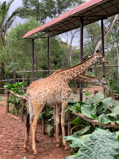 Hainan Tropical Garden of Wild Fauna and Flora