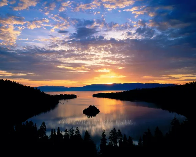 Marcus Ashley Gallery