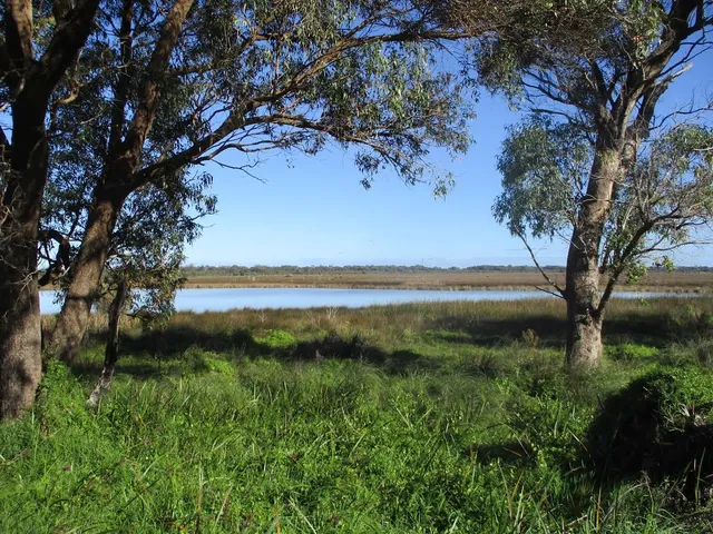 Lake Cooloongup