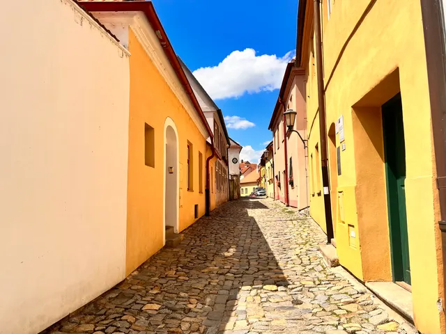 Seligmann Bauer House