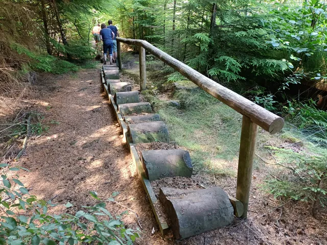 Blotevoetenpad Drents-Friese Wold