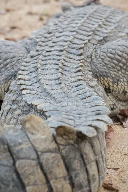 Nairobi Mamba Village