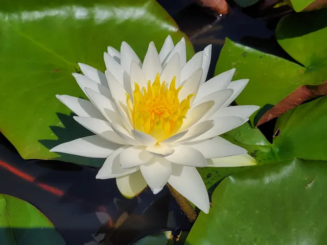 Ayameike Sports Center