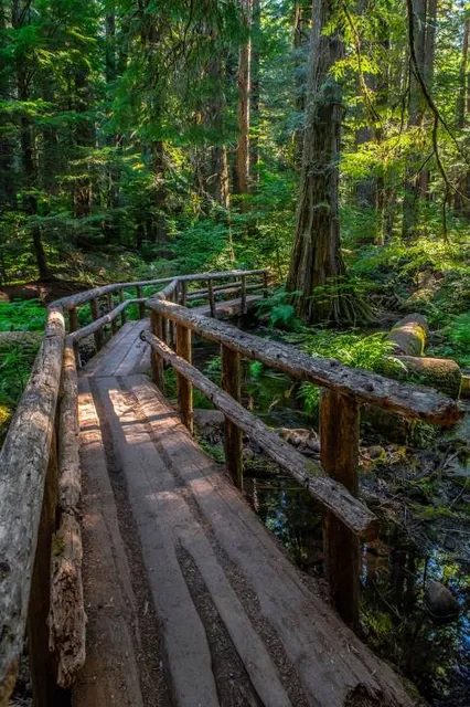 McKenzie River Trail