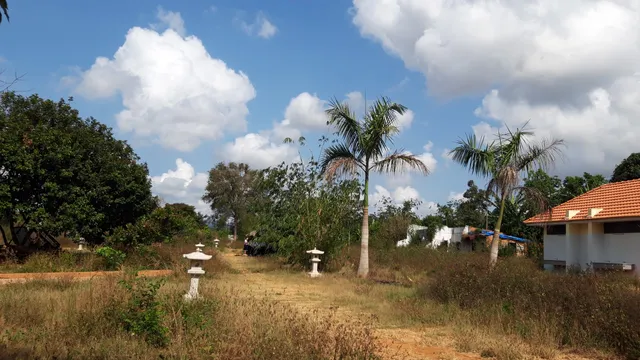 Long Phuoc Tunnels Historical Site