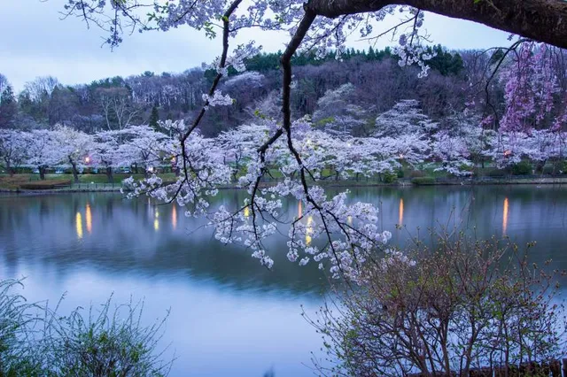 Takamatsu Pond