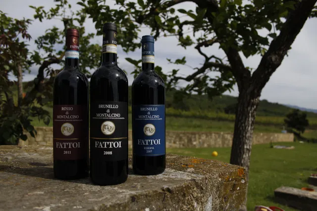 Fattoi Ofelio E Figli Soc. Sempl.Azienda Agricola