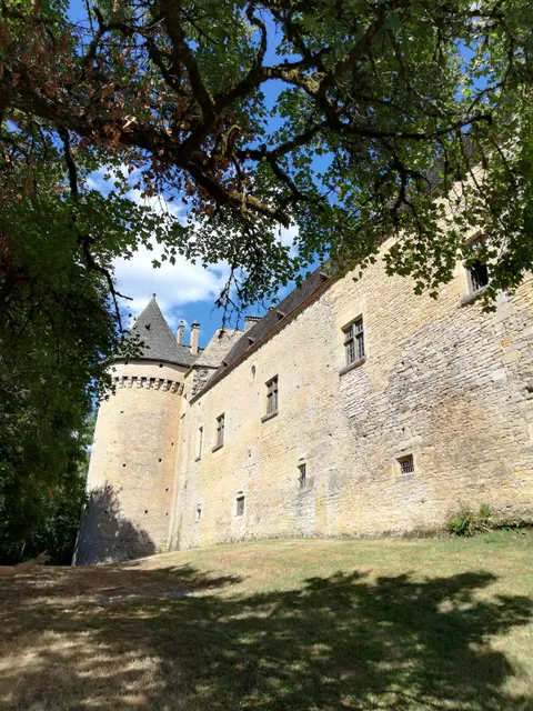 Château de Coulonges