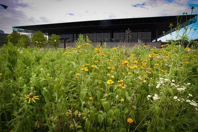 McCormick Place Bird Sanctuary