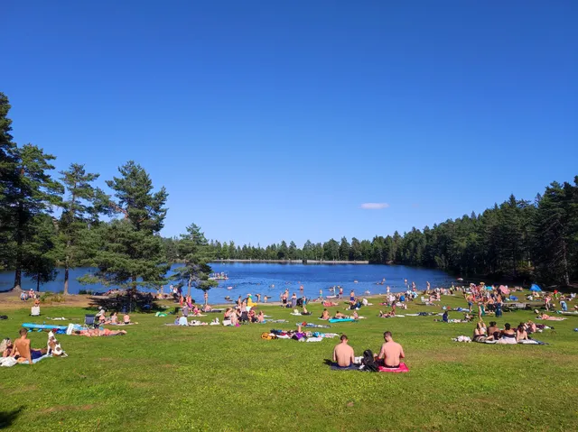 Landfalltjern badeplass