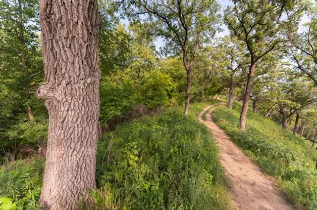 Hitchcock Nature Center