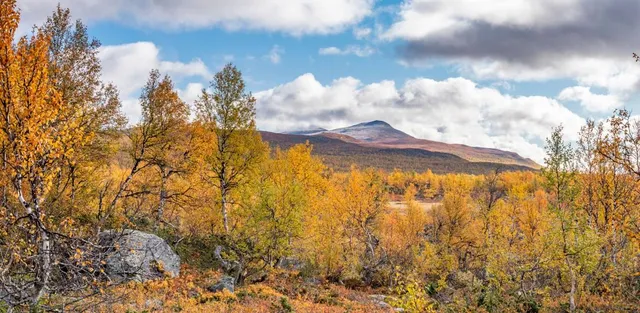 Pieljekaise National Park