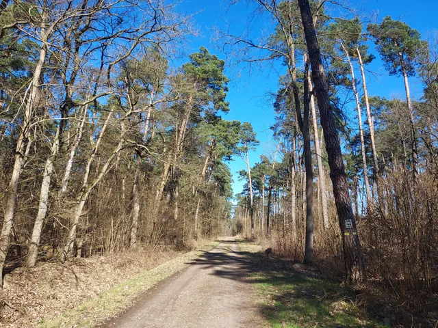 Rezerwat przyrody Uroczysko Stephana