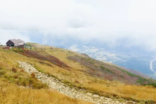 Hakuba Happo One Ski Area (Nakiyama)