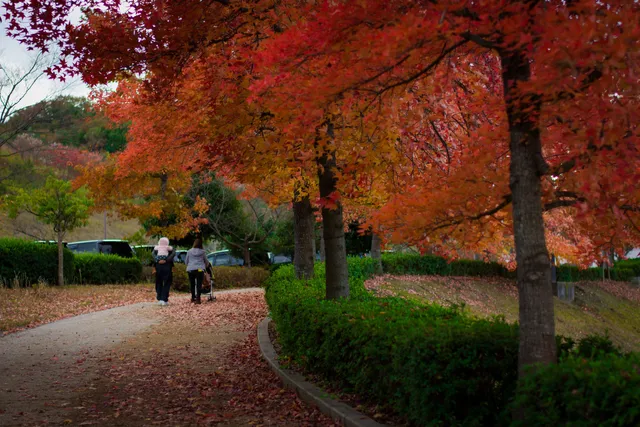 Innoshima Sports Park