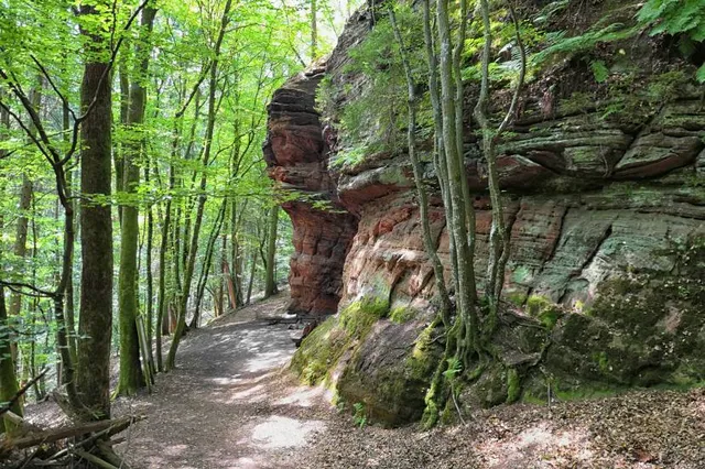 photo-2
