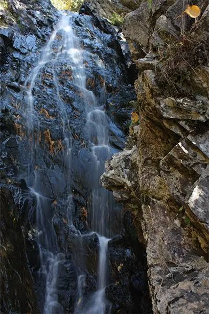 photo-1