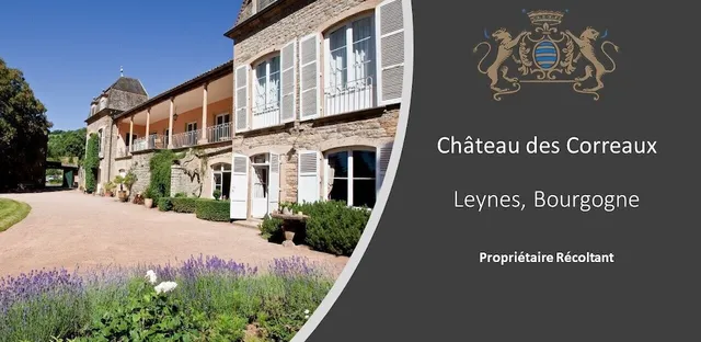 Hostellerie La Sarrasine - Mâcon