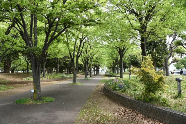 Irifune Park