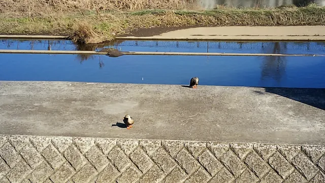 Gumizawagoshomizu Park