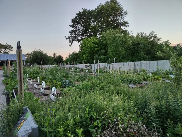 Edible Academy, NYBG