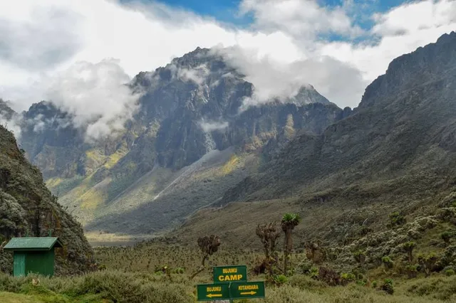 Rwenzori Mountains National Park