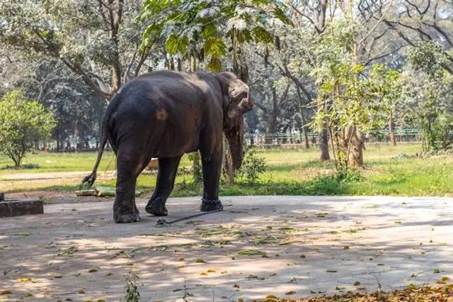 Bangladesh National Zoo
