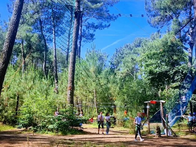 Parc Accrobranche & loisirs - Monkey Forest - Saint Molf