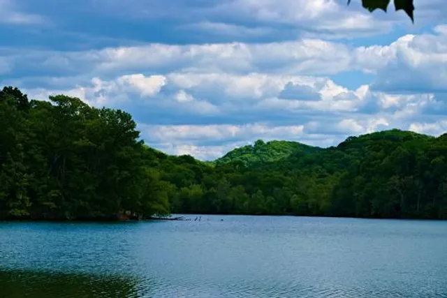 Radnor Lake