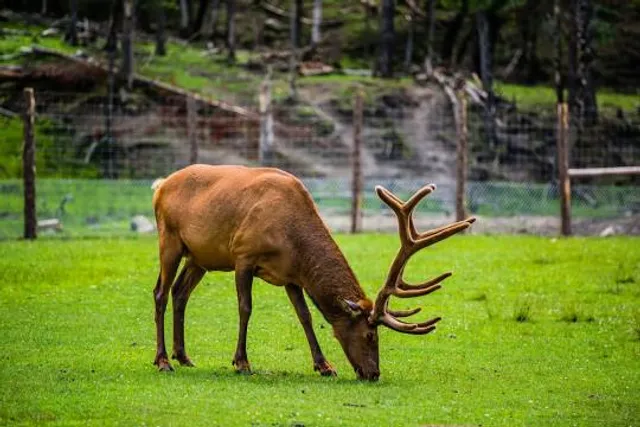 Omega Park