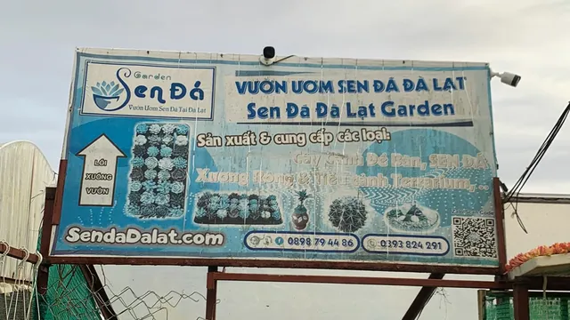 Sen Đá Đà Lạt Garden
