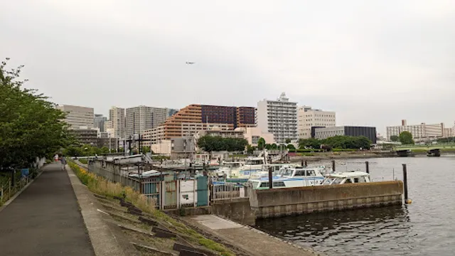 しながわ花海道