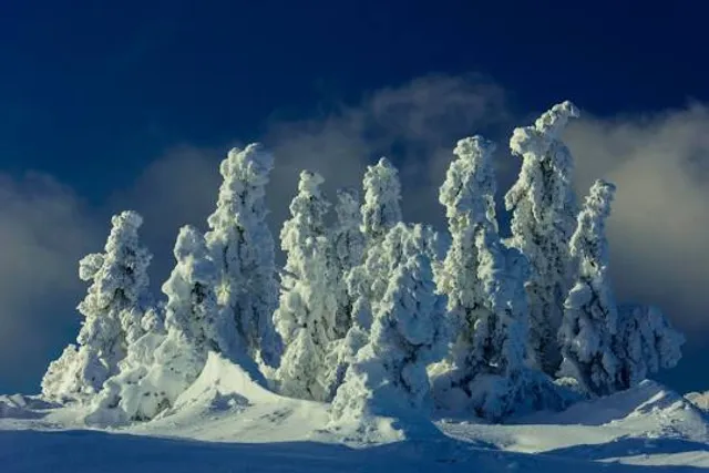 Brocken Coaster Thomas mask