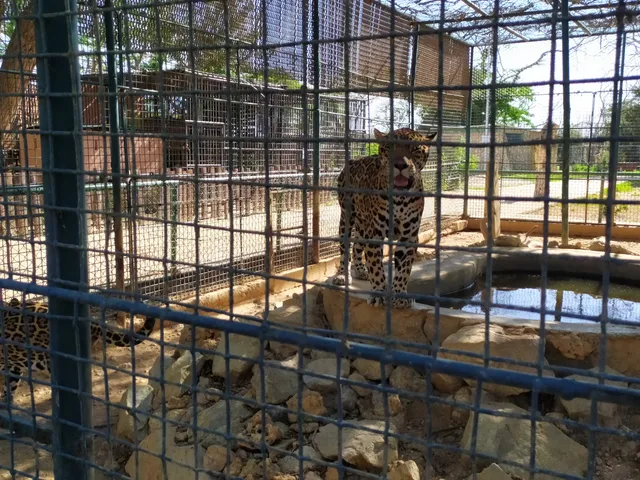 Paraguana Zoo