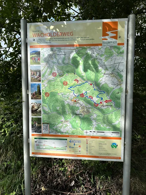 Traumpfad Wacholderweg