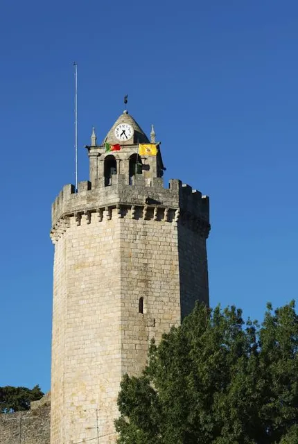 Freixo's Castle