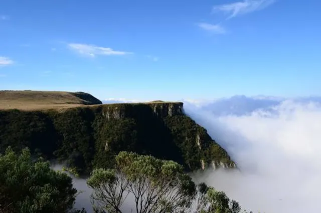 Parque Estadual Serra do Aracá