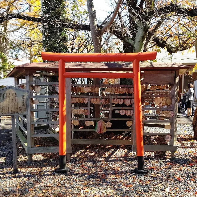 photo-1
