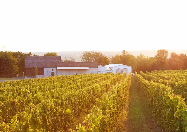 Hermann J. Wiemer Vineyard