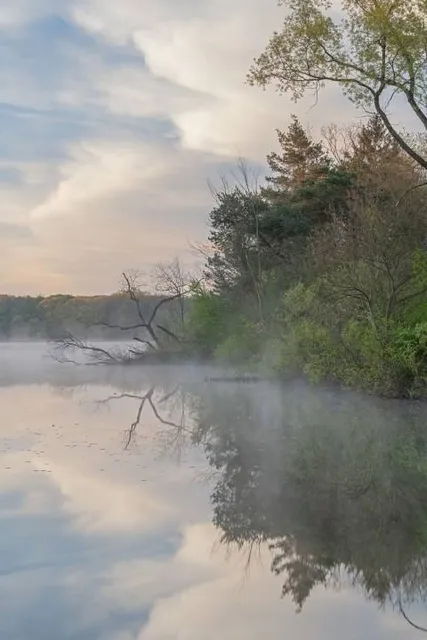 Fort Custer Recreation Area