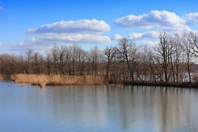 Nature reserve Łężczok