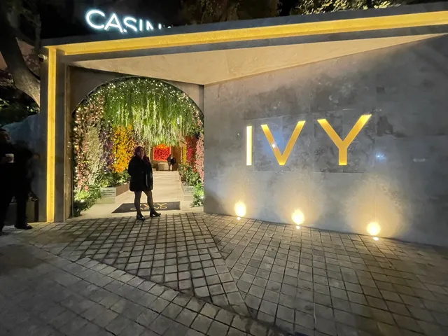 IVY Casino