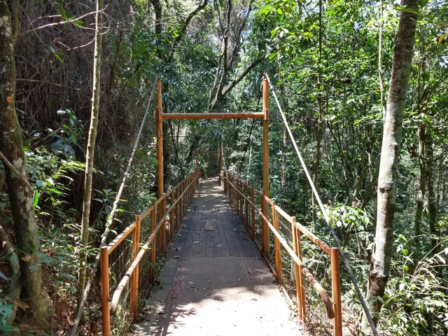 Intellect Municipal Natural Park