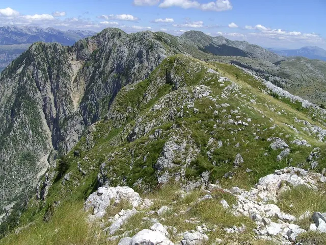 place image