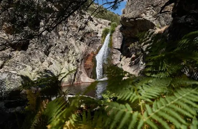 Municipio de Valle Hermoso