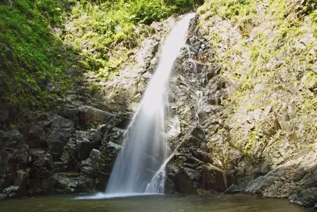 The World Heritage Beech Forest Trail