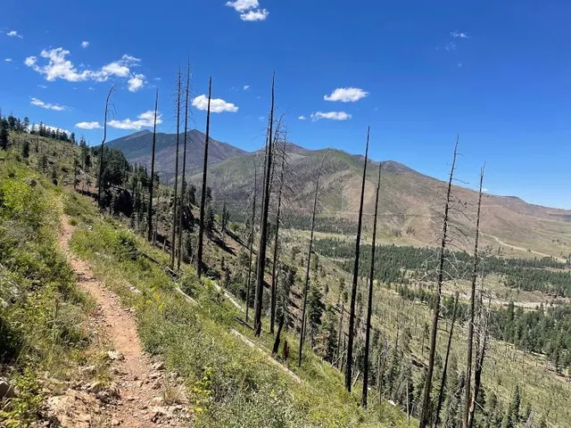 Mt Elden Lookout Trail