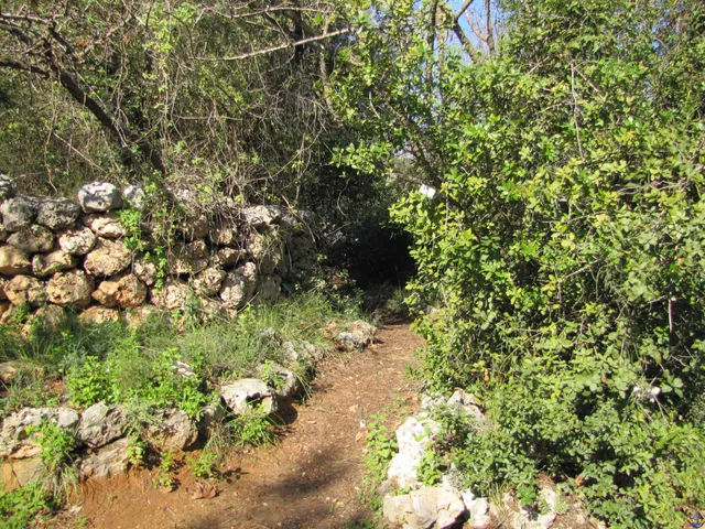 The Tel Aviv Botanical Gardens