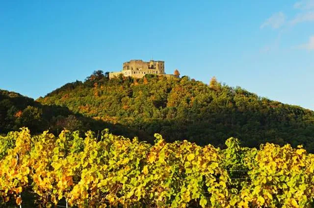 Neustadt an der Weinstraße