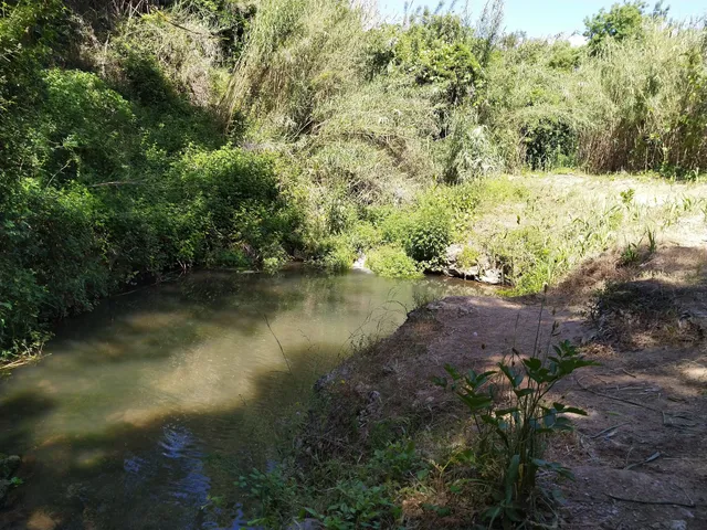 Camí del riu